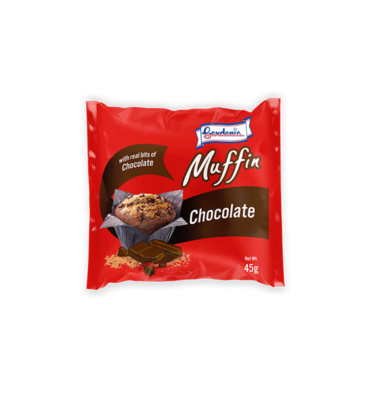 Chocolate Muffin Photo